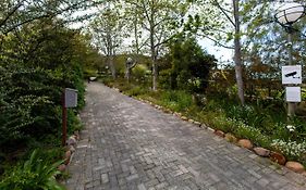 Summerhill Guest Farm